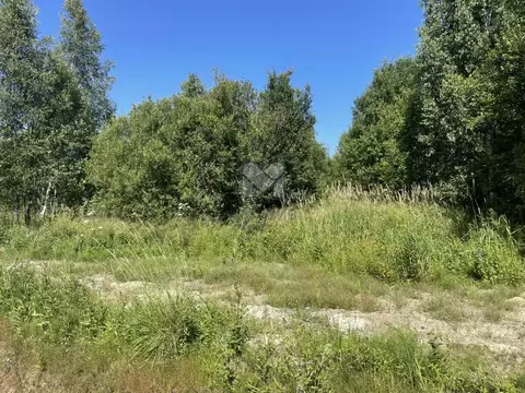 Участок в Ленинградская область, Всеволожский район, Щегловское с/пос, ...