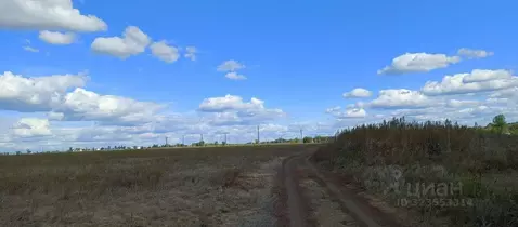 Участок в Самарская область, Кинельский район, Малая Малышевка с/пос, ...