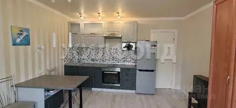 Студия Санкт-Петербург просп. Королева, 62 (25.5 м)