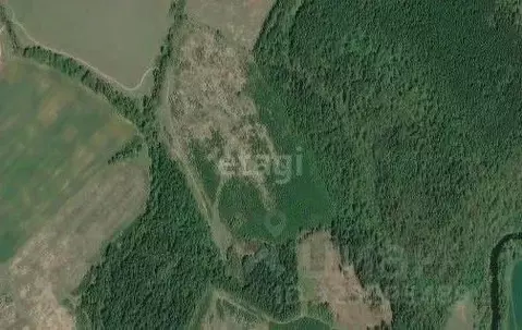 Участок в Калужская область, Боровский муниципальный округ, ...