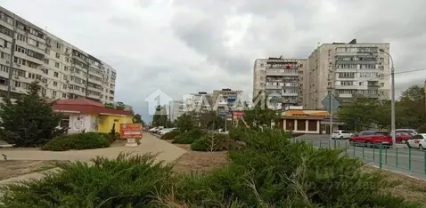 Помещение свободного назначения в Краснодарский край, Новороссийск ...