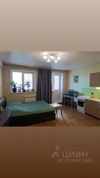 Студия Иркутская область, Иркутск Сарафановская ул., 79/5 (29.5 м)