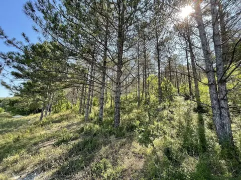 Участок в Краснодарский край, Новороссийск городской округ, с. ...