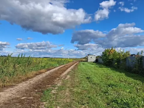 Участок в Тюменская область, Тюменский муниципальный округ, с. Ембаево ...