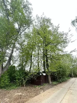 Продается участок в г. Красногорск