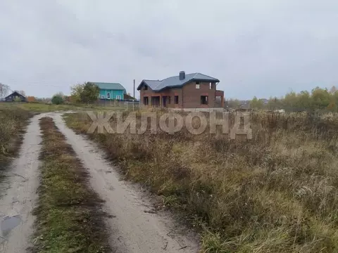 Участок в Брянская область, Брянский район, Добрунское с/пос, д. ...