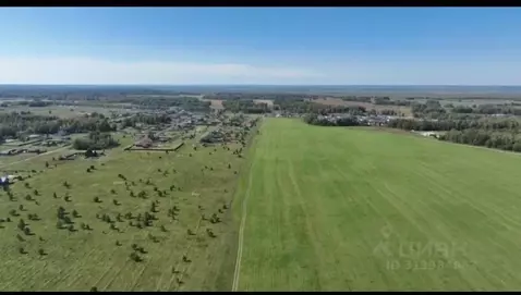 Участок в Алтайский край, Первомайский район, с. Фирсово ул. Лесная, ...
