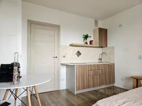 Студия Санкт-Петербург Пискаревский просп., 165к1 (19.4 м)