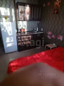 Студия Новосибирская область, Новосибирск Железнодорожная ул., 15/1 ...