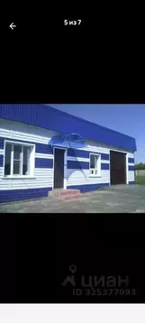 Помещение свободного назначения в Алтайский край, Поспелихинский ...