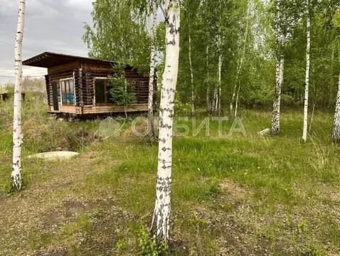 Участок в Тюменская область, Тюменский муниципальный округ, с. ...