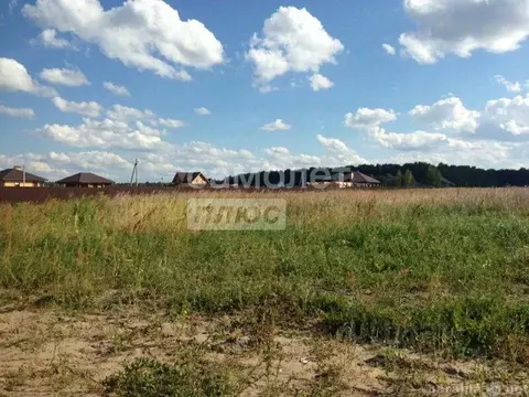 Участок в Амурская область, Благовещенский район, с. ...