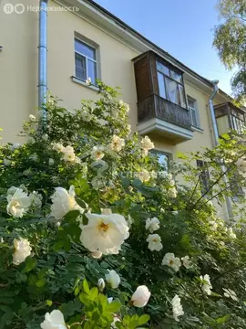 1к в 3-комнатной квартире (15 м)