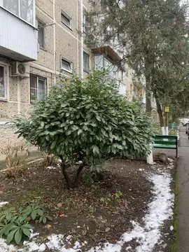 2-к кв. Краснодарский край, Краснодар ул. Имени Калинина, 13к44 (44.0 ...