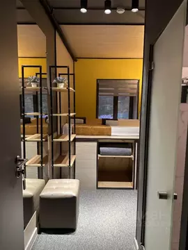 Студия Санкт-Петербург Английский просп., 24 (12.0 м)