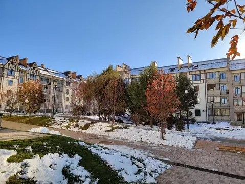 1-к кв. Новосибирская область, Новосибирск ул. Кирова, 338 (44.0 м)