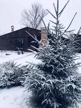 Коттедж в Оренбургская область, Оренбург ПО Мир СНТ, Троллейбусник ...