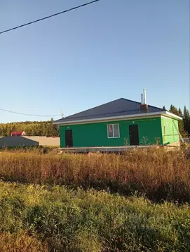 Коттедж в Пермский край, Ильинский муниципальный округ, д. Петрушата ...