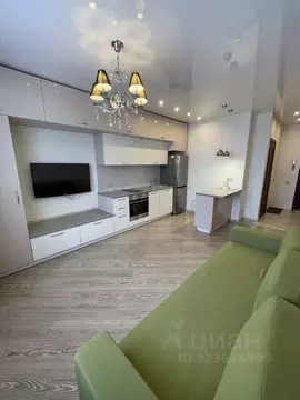 Студия Новосибирская область, Новосибирск ул. Крылова, 34 (29.0 м)