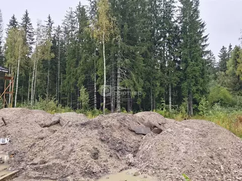 Участок в Ленинградская область, Всеволожский район, Агалатовское ...