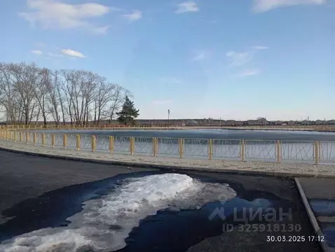 Участок в Курганская область, Кетовский муниципальный округ, д. Белый ...