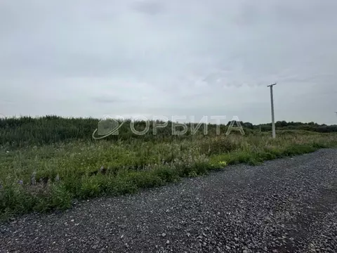 Участок в Тюменская область, Тюменский муниципальный округ, д. ...