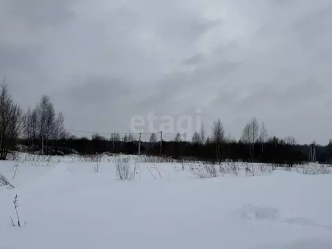 Участок в Костромская область, Кострома Соколиное Гнездо кп,  (8.0 ...