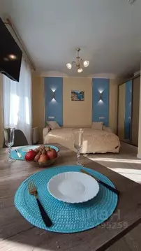 Студия Пермский край, Пермь ул. Николая Островского, 40 (26.0 м)