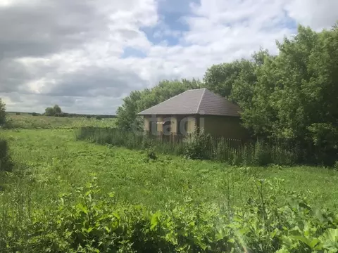 Дом в Татарстан, Лаишевский район, Никольское с/пос, с. Никольское ул. ...