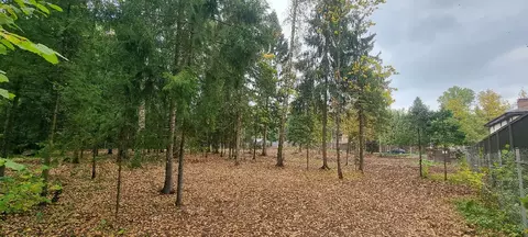 Продается участок в д. Сазонки