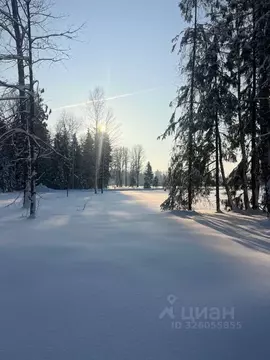 Участок в Московская область, Истра муниципальный округ, д. Дубровское ...