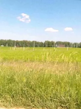 Участок в Брянская область, Брянский район, Отрадненское с/пос, с. ...