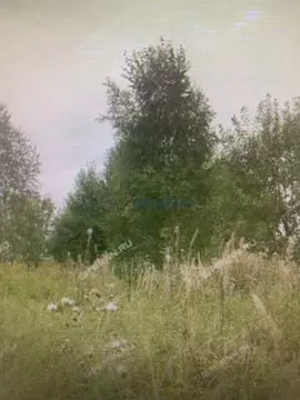 Участок в Нижегородская область, Нижний Новгород Россия-2 СНТ, 206 ...