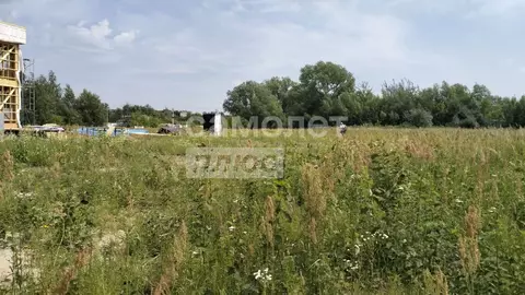 Участок в Московская область, Раменский муниципальный округ, с. ...