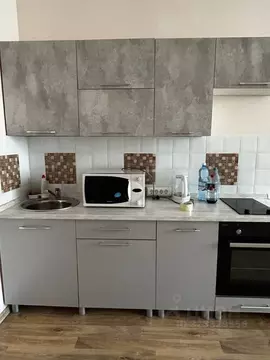 Студия Красноярский край, Красноярск ул. Вильского, 16 (27.0 м)