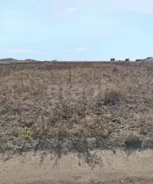 Участок в Бурятия, Иволгинский район, Нижнеиволгинское с/пос, Селенга ...