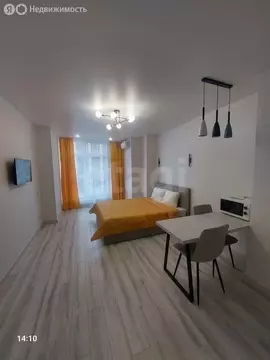 Квартира-студия: Ростов-на-Дону, Красноармейская улица, 157В/83с1 (29 ...