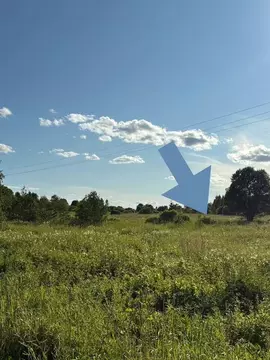 Участок в Московская область, Можайский муниципальный округ, д. ...