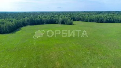 Участок в Тюменская область, Тюменский муниципальный округ, с. Кулига  ...