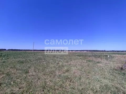 Участок в Марий Эл, Медведевский район, Шойбулакское с/пос, д. ...