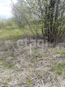 Участок в Костромская область, Кострома проезд Кружевной (9.6 сот.)