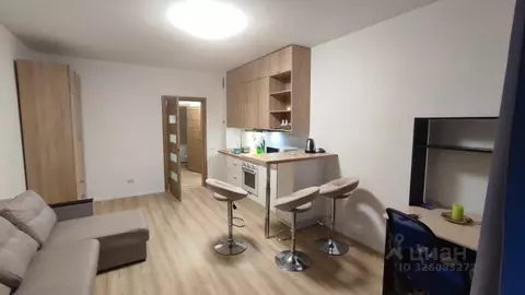 Студия Санкт-Петербург аллея Евгения Шварца, 14 (29.0 м)