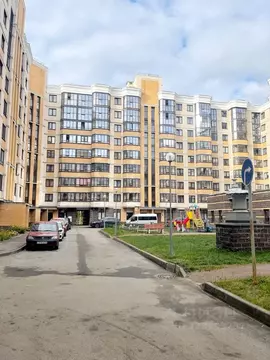 Студия Санкт-Петербург, Санкт-Петербург, Ломоносов Михайловская ул., ...