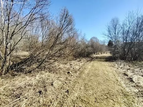 Участок в Пашское сельское поселение, деревня Кизлярское (11 м)