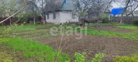 Дом в Брянская область, Брянский район, Супоневское с/пос, Чайка СДТ  ...