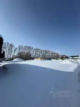 Участок в Новосибирская область, Новосибирский район, Морской ...