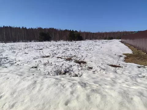 Участок в Московская область, Орехово-Зуевский городской округ, д. ...