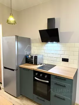 Студия Санкт-Петербург пос. Шушары, ул. Чудовская, 14к2 (22.7 м)