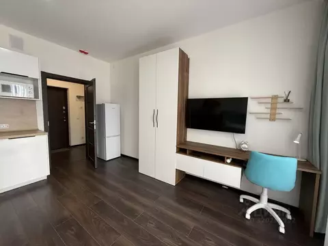 Студия Санкт-Петербург Фарфоровская ул., 3к2 (25.31 м)