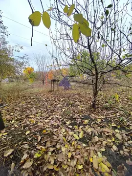 Участок в Ростовская область, Волгодонск Мичуринец СНТ, 1858 (5.0 ...